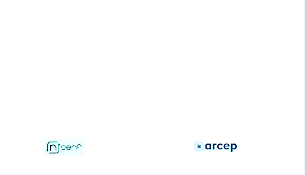 Picto arcep et nperf fond blanc